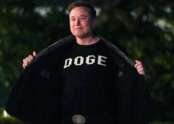 Суды США изучают юридический статус DOGE Илона Маска