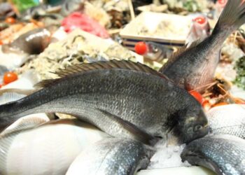 Продают во всех супермаркетах: какую рыбу категорически нельзя есть