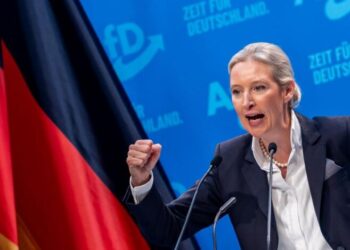 В Германии рейтинг пророссийской ультраправой партии АдГ достиг рекордного уровня