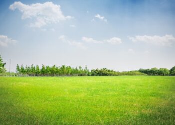 Налогообложение земли: что нужно знать людям с инвалидностью