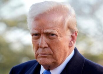 Трамп использует рычаги власти: юридические фирмы и университеты вынуждены уступить