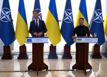 Зеленский резко отреагировал на заявления Виткоффа о территориях и обсудил с Рютте усиление ПВО Украины