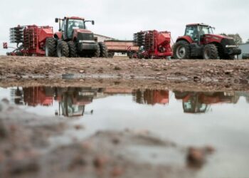 Весенняя посевная в Украине: оптимальные сроки для зерновых и овощей и важные советы для аграриев