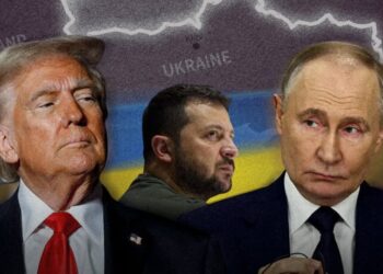 «Большой прогресс»: Трамп оценил готовность Зеленского и Путина к переговорам