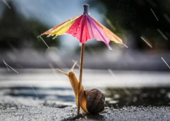 Дожди с грозами и заморозки: синоптики предупредили о резком ухудшении погоды