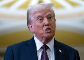 Впервые в истории: Трамп запланировал массовую депортацию из США