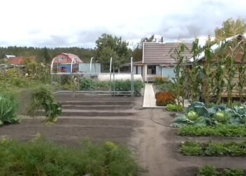 Земля под частным домом: кому она действительно принадлежит