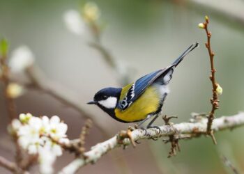 Холодные ночи исчезнут не везде: синоптик предупредила о резких перепадах температур