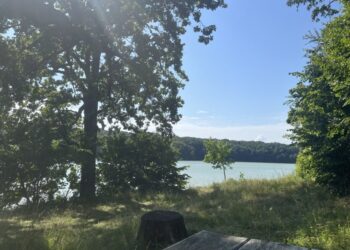 Дожди, грозы и жара: синоптики предупредили украинцев о погодных сюрпризах