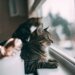 Від прохолодних +17 до спектоних +32°: якою буде погода в Україні у суботу