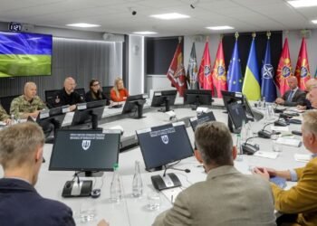 Украина и Великобритания договорились о сотрудничестве в производстве дронов