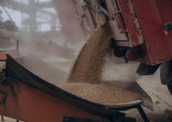 Украина увеличила экспорт товаров: что и какие страны покупают больше всего