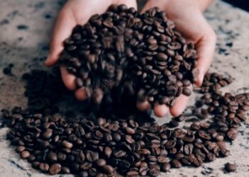 От 33 гривен: украинцам показали, как изменились цены на кофе, сливки и молоко в августе