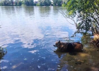 Часть Украины накроют дожди с грозами: синоптики предупредили об изменении погоды