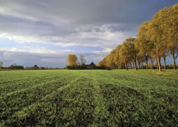 Поступления от налога на землю выросли на 15%: регионы-лидеры