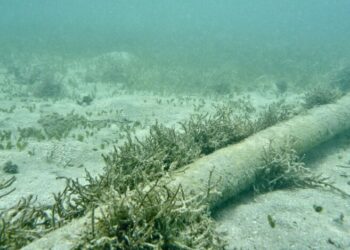 ВМС Португалии противодействуют российским угрозам под водой