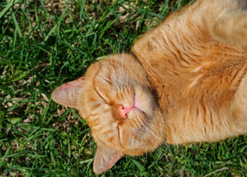 В Украину идет холодный атмосферный фронт: где ждать дождей с грозами