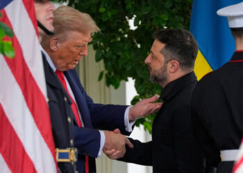 Китай отреагировал на встречу Трампа, Зеленского и европейских лидеров в Вашингтоне