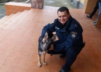 В Ужгороде гремит скандал с ТЦК: вступившегося за ветерана полицейского силой бусифицировали