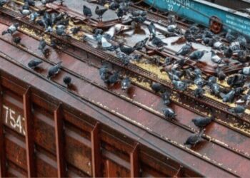 Рекорд военного времени: Укрзализныця существенно увеличила грузоперевозки