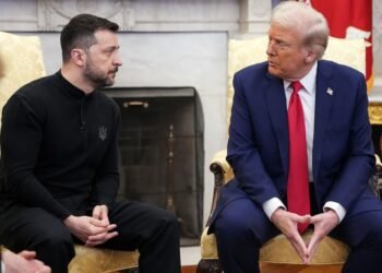СМИ узнали, кто примет участие во встрече Зеленского и Трампа