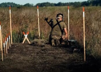 Саперам удалось разминировать большие площади сельхозземель