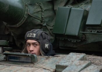 Пилоты ВСУ уничтожили редкий северокорейский миномет на Сумщине (видео)