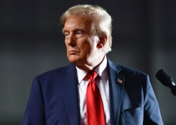 “Связанные руки”: WSJ раскрыл, как Пентагон саботирует политику Трампа и мешает Украине воевать
