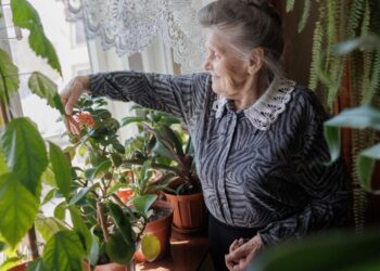 Это важно: ПФУ ответил, засчитывается ли в страховой стаж период ухода за ребенком