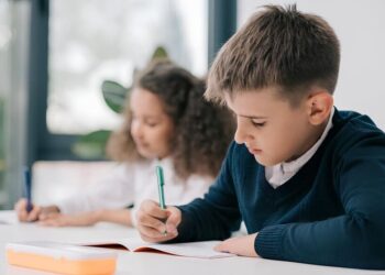 ЗНО для самых младших: назван год, когда реформа коснется всех школьников