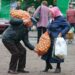 Пора делать запасы: в Украине рекордно подешевел популярный овощ