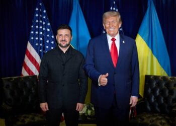 WSJ: Трамп обсудил с Зеленским планы масштабного наступления ВСУ