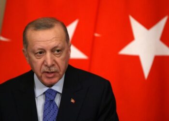 Эрдоган дал печальный прогноз по окончанию войны в Украине