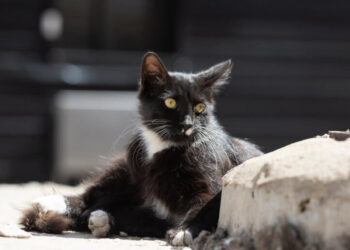 Часть Украины накроет непогода: где ждать похолодания, дождей и сильного ветра