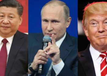 Между “быками” и “коровами”