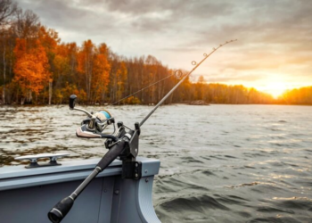 Рыбакам напомнили о важных правилах осенью: как не нарваться на штраф