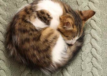 6 причин: Диденко рассказала, стоит ли доверять народным приметам про погоду