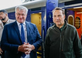 В Киев прибыли глава МИД Польши Сикорский и принц Гарри