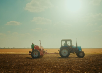 ПРООН в Украине и Дания запускают проект для восстановления Николаевщины