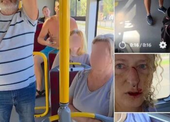 “Он ударил головой в лицо”: в Варшаве наказали агрессора, который напал на защитницу украинки