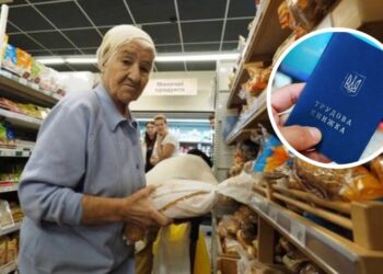 Пенсионеры могут потерять часть стажа: работавшим до 2004 года нужно срочно обновить данные