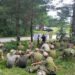 НАТО помогает укрепить психологическую готовность бойцов ВСУ к высокоинтенсивным боям