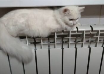 Цены на тепло могут взлететь втрое: эксперт Попенко указал на опасность тарифной монополии