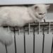 Цены на тепло могут взлететь втрое: эксперт Попенко указал на опасность тарифной монополии