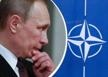 WP: Путин испытывает НАТО на прочность, пользуясь слабой реакцией Трампа