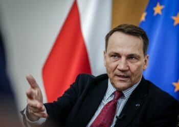 Сикорский предложил Западу сбивать дроны и ракеты РФ над Украиной