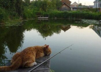 Атмосферный фронт напомнит об осени: синоптик Диденко сказала, где испортится погода