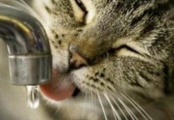 Київ без води: що сталося на правому березі та коли все відновлять