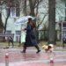 Хмарна погода та дощі охоплять більшу частину України 11 жовтня – прогноз