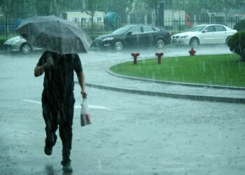 Киян попередили про погіршення погоди: сильний вітер та заморозки